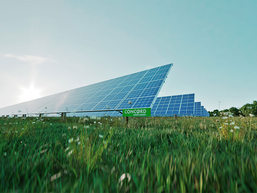 concord green energy solar panels